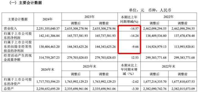 少卖1.1万吨，“粽子大王”2024年营收、净利润双降