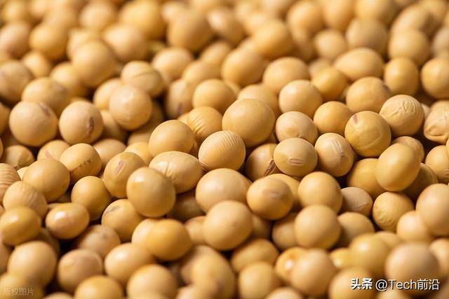 原油一涨、油脂就飞：2026年中国进口大豆的成本可能会更高